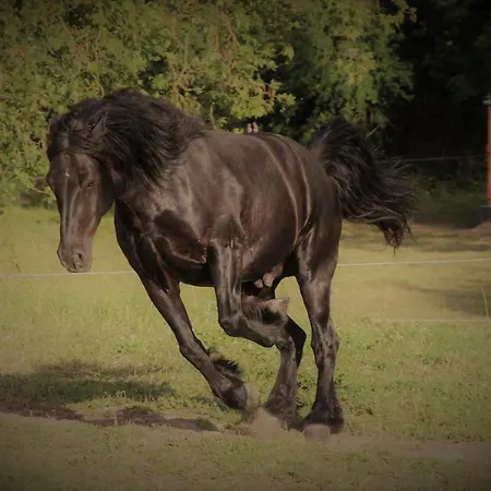 Angoville44 ベッド・アンド・ブレックファスト