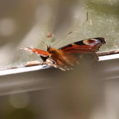 Bed and breakfast Angoville44 Carentan-les-Marais