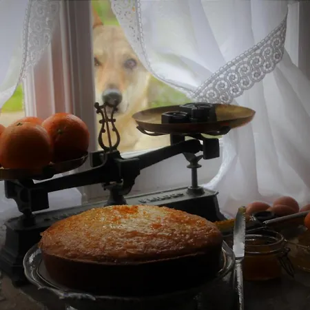 ベッド・アンド・ブレックファスト Angoville44