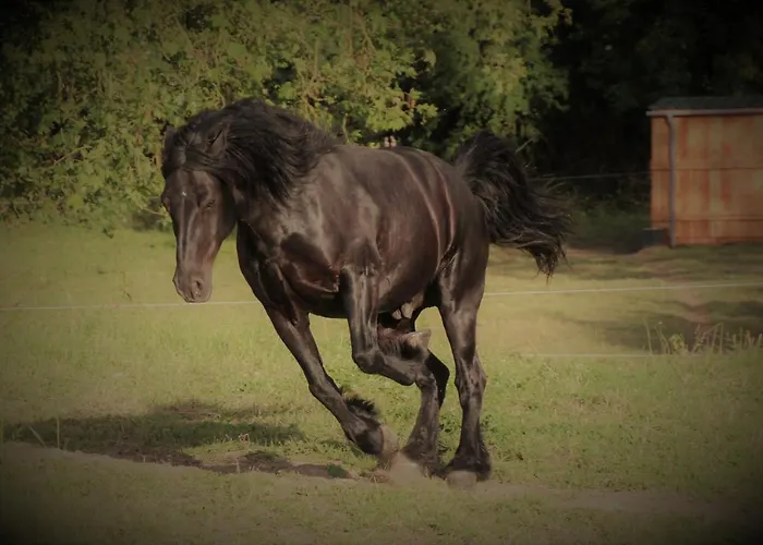 Angoville44 Bed & Breakfast