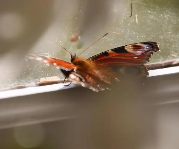 Bed & Breakfast Angoville44 Carentan-les-Marais