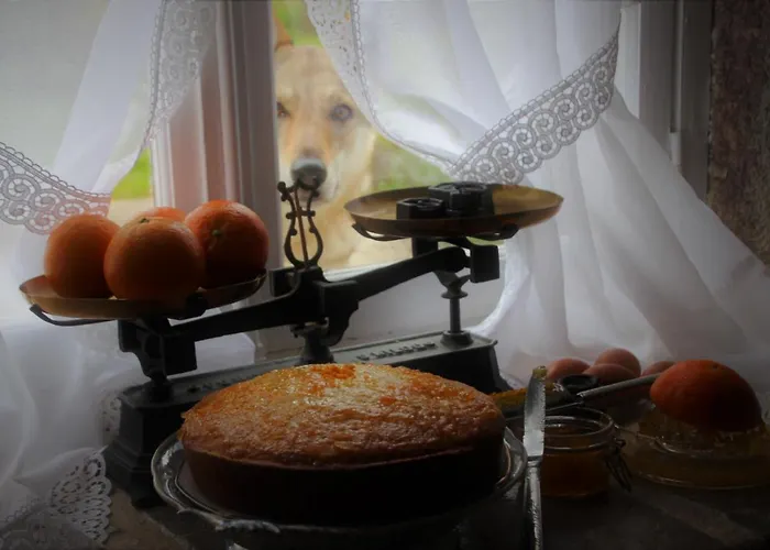 Bed & Breakfast Angoville44